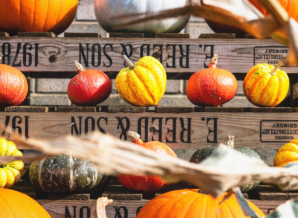 squash lot