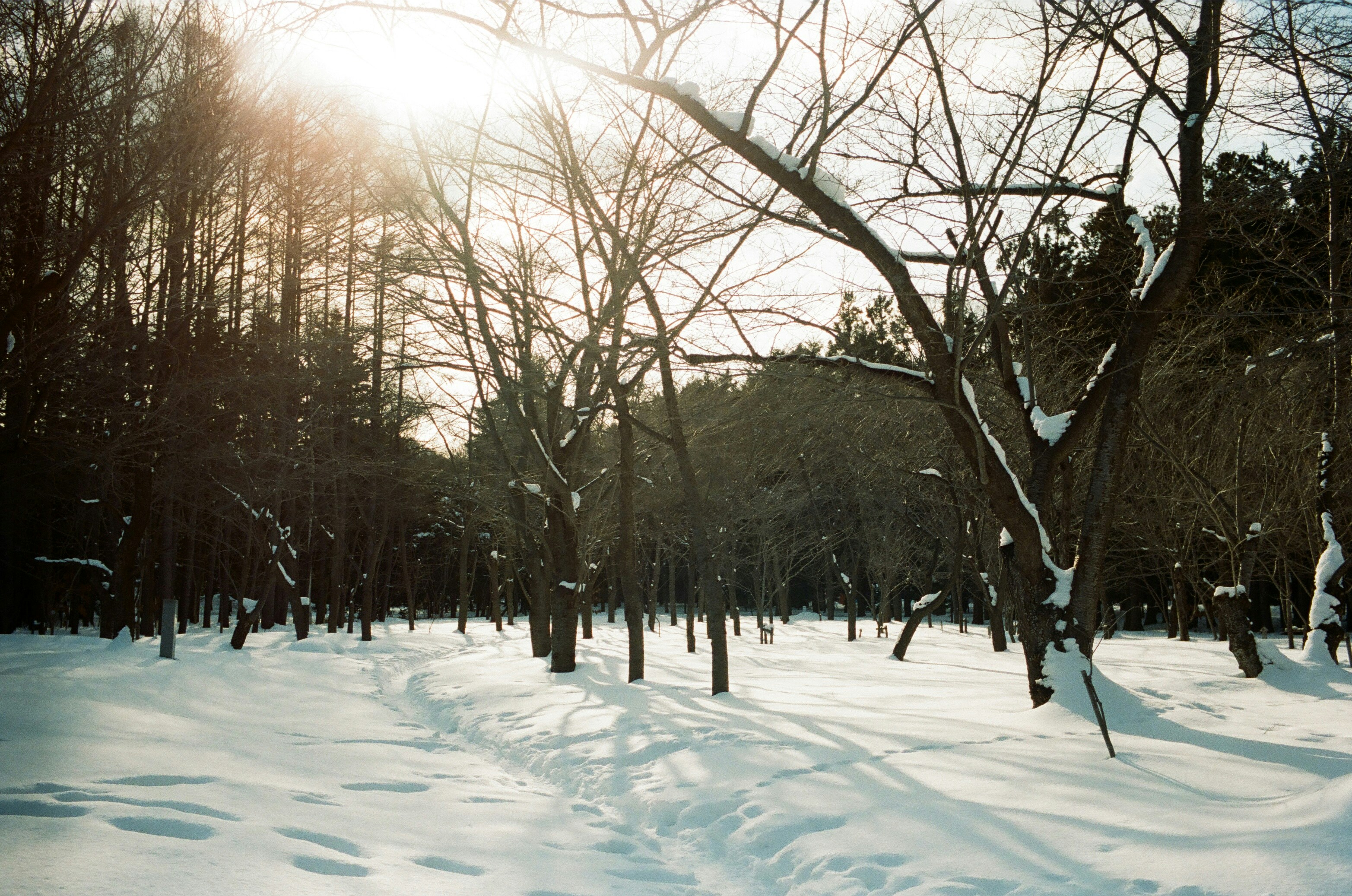 Snow on the ground. Snow in ground. Снег на поверхности. Snow on the ground стих. Снег.