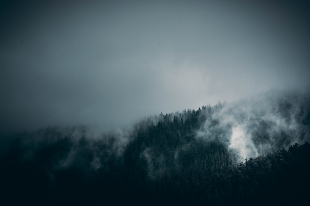 green trees with smoky mountain