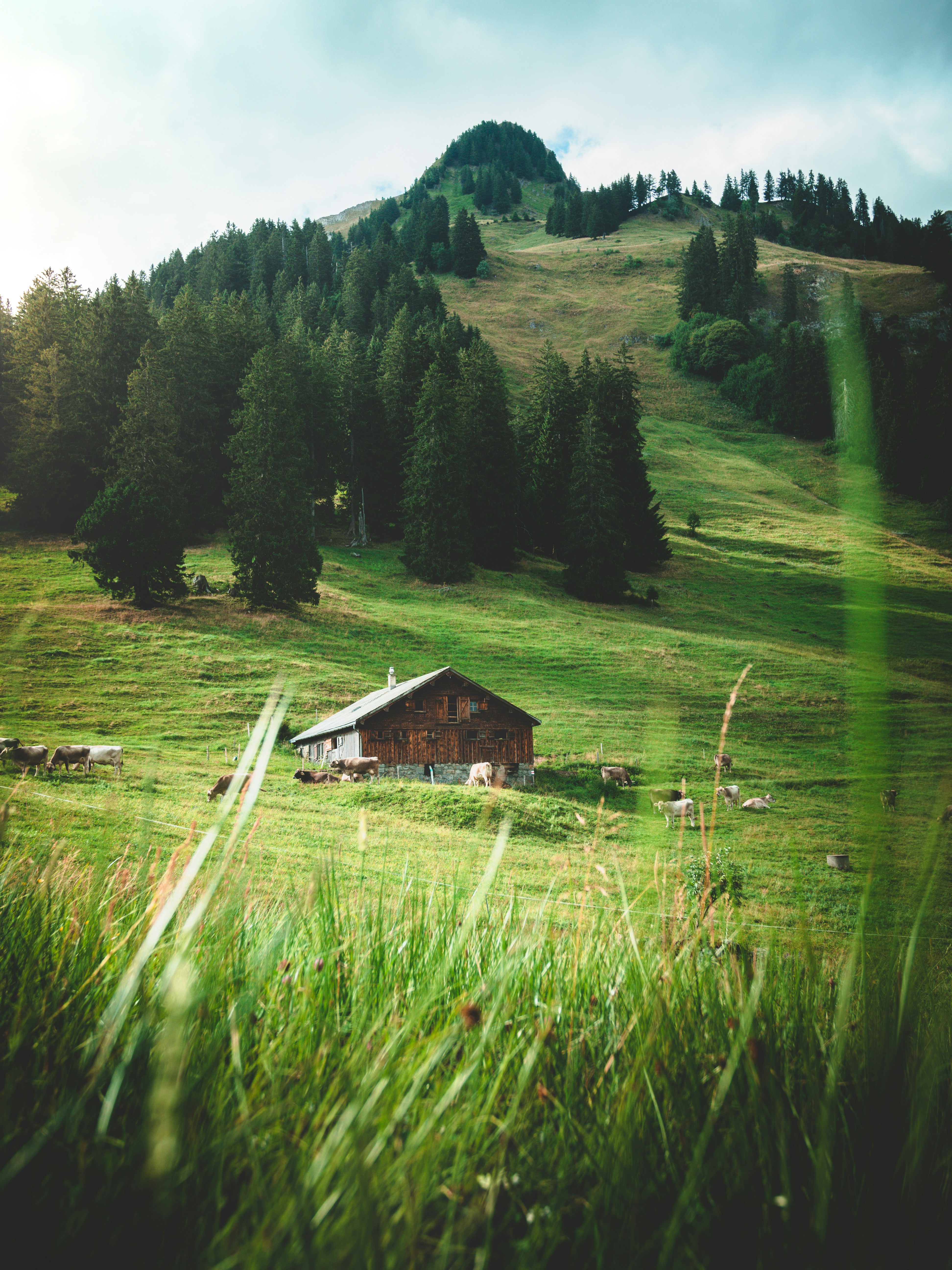 Photo by brunovdkraan