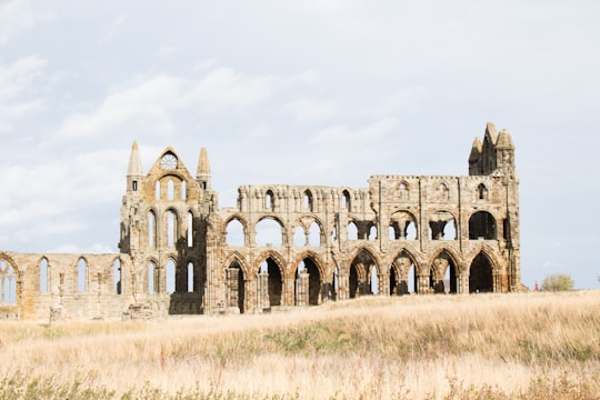 brown concrete ruin building in Whitby Abbey United Kingdom