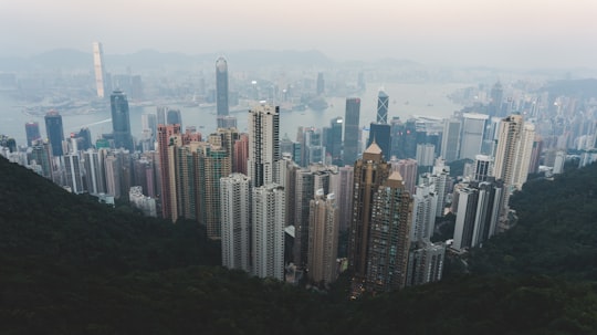 aerial photography of buildings in Victoria Peak Hong Kong