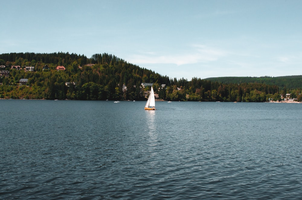 gray and white sailboat on body of water