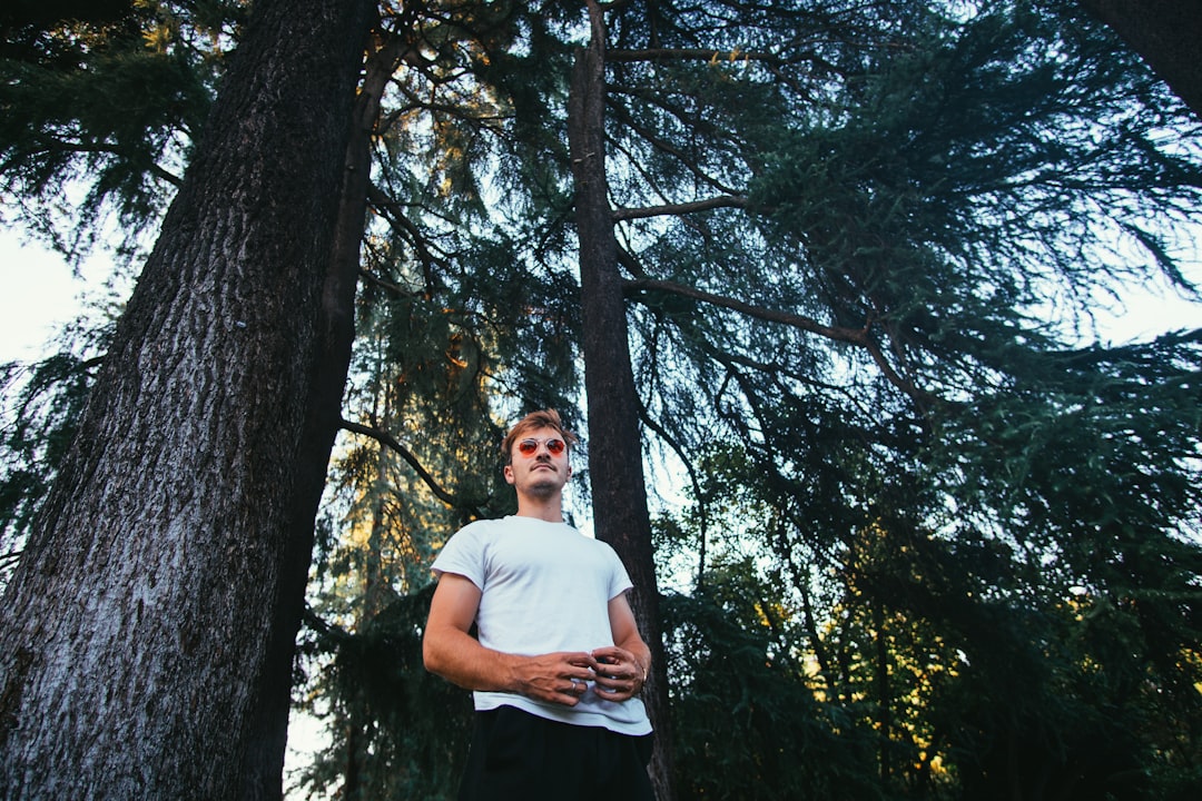 Forest photo spot Sempione Park Pino sulla Sponda del Lago Maggiore