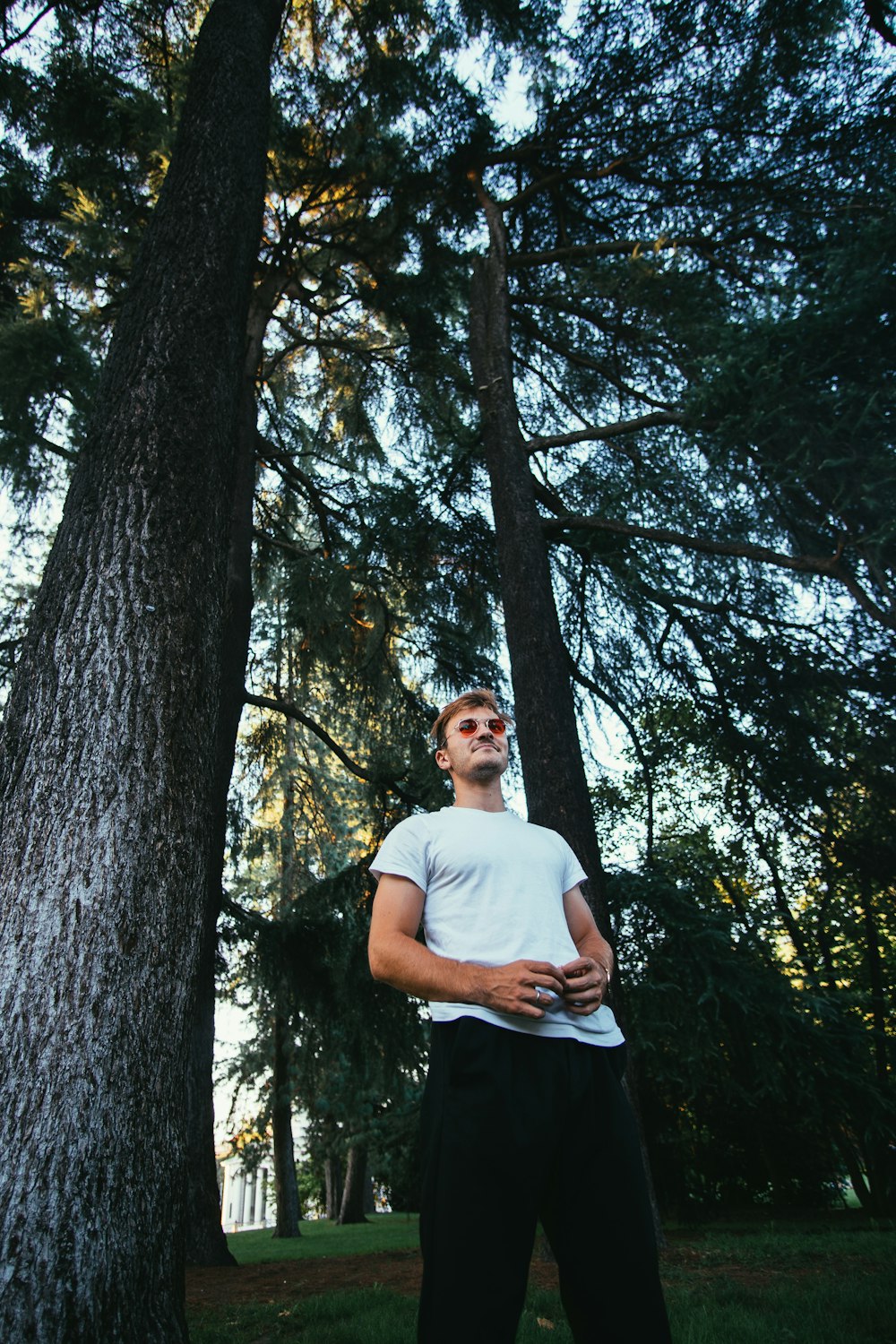 man standing under green tree