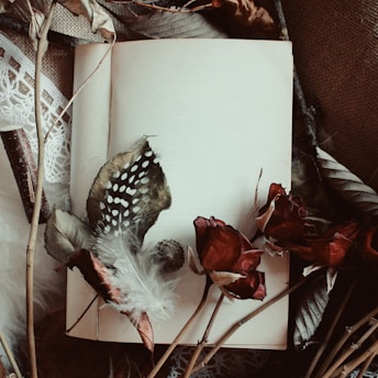 An open book lies surrounded by dried leaves, feathers, and wilted red roses. The scene is set on a textured background, creating a vintage and nostalgic atmosphere.