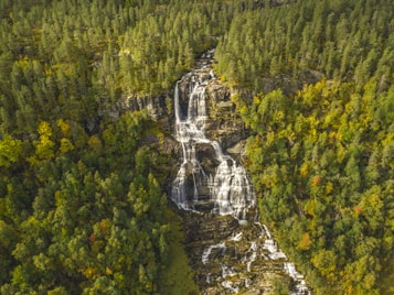 A cascading waterfall flows over a rocky cliff surrounded by dense forest. The trees display a mix of rich green and warm autumnal colors, creating a vibrant contrast with the white water of the waterfall. The image is captured from an aerial perspective, showcasing the natural beauty and expansive greenery of the landscape.