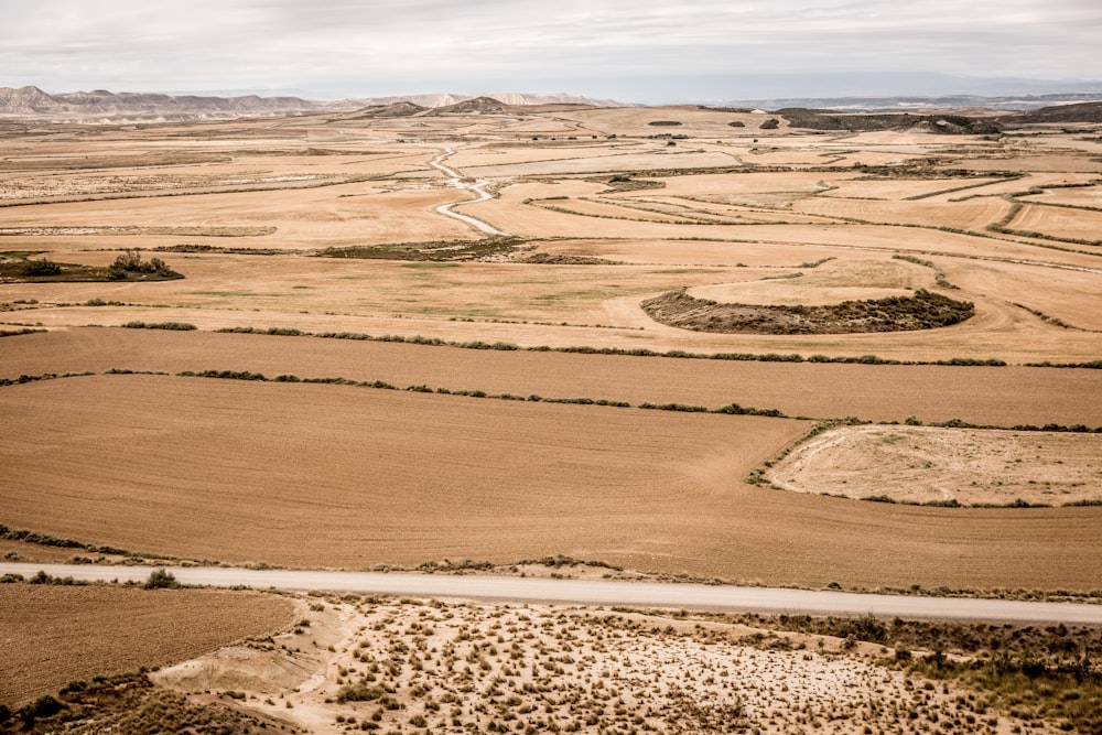 brown field at daytime