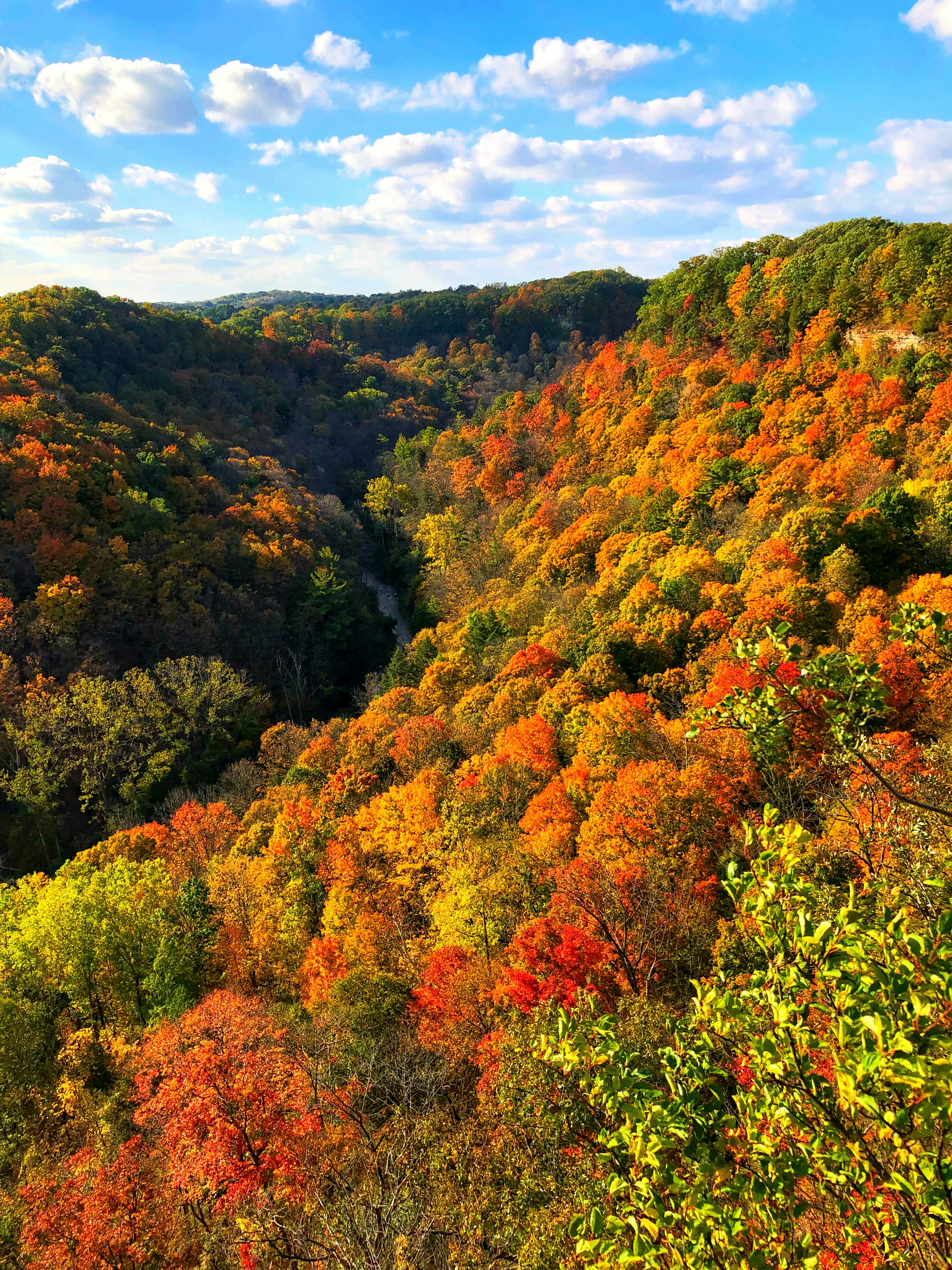 Best hiking trails for fall foliage in Vermont