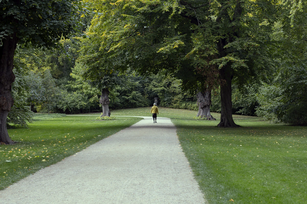 Person geht durch einen grünen Park als Symbol für sanfte Bewegung nach dem Rauchstopp