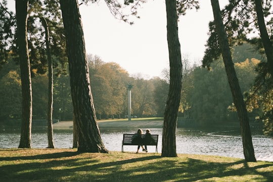 two person sitting on bench in front of body of water in Kungsparken Sweden