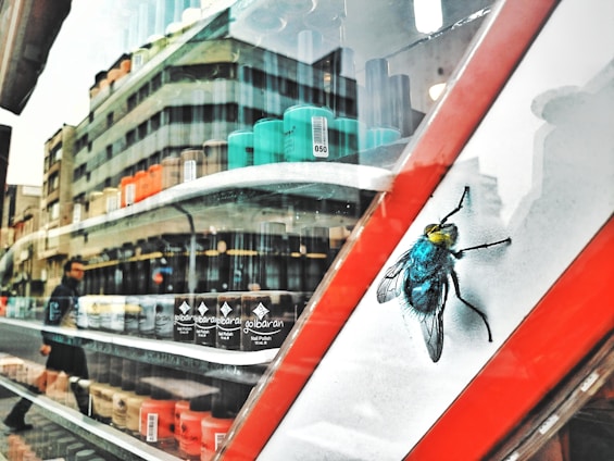 A close-up of a storefront window with various nail polish bottles arranged in rows behind the glass. The reflection of a street scene is visible, showing a modern building and a person walking. A large illustration of a fly is prominently displayed on the window.