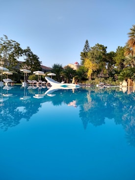 A tranquil outdoor swimming pool with a clear blue sky and surrounding lush greenery. The pool area features several white sun loungers and umbrellas, creating a serene and relaxing atmosphere. Trees and plants provide a natural backdrop, while reflections in the water enhance the peaceful vibe.
