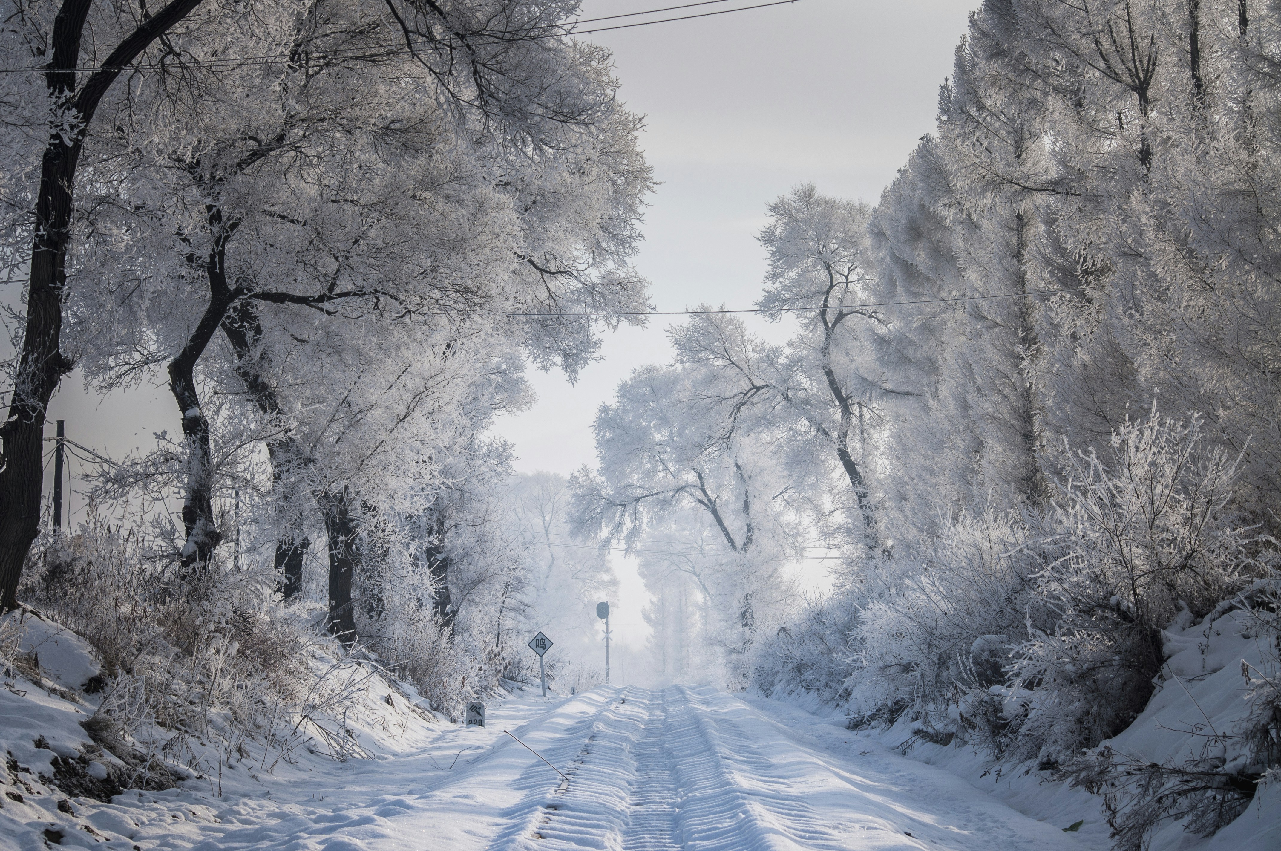 Photo by zhangweige46