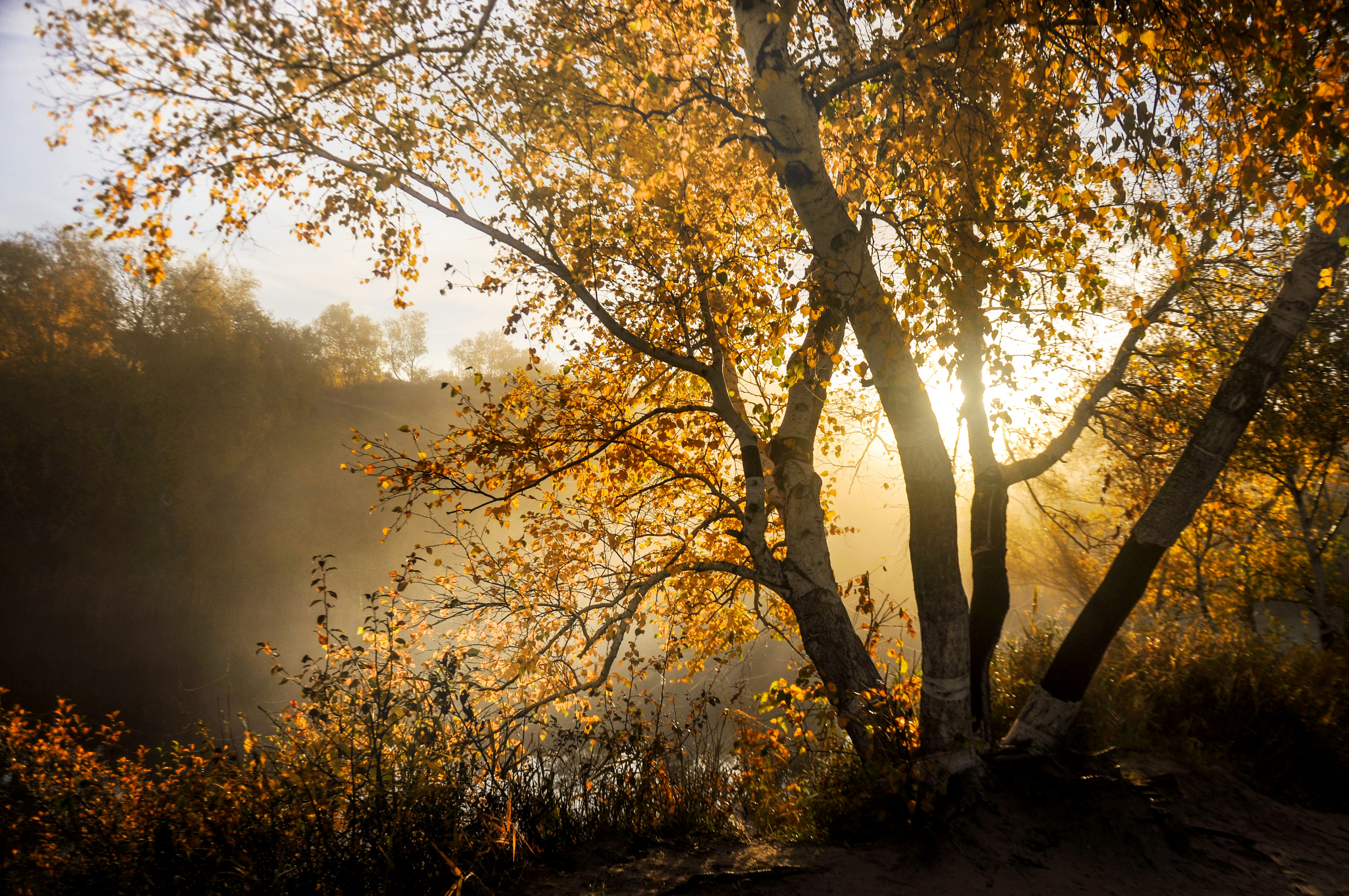 Photo by zhangweige46