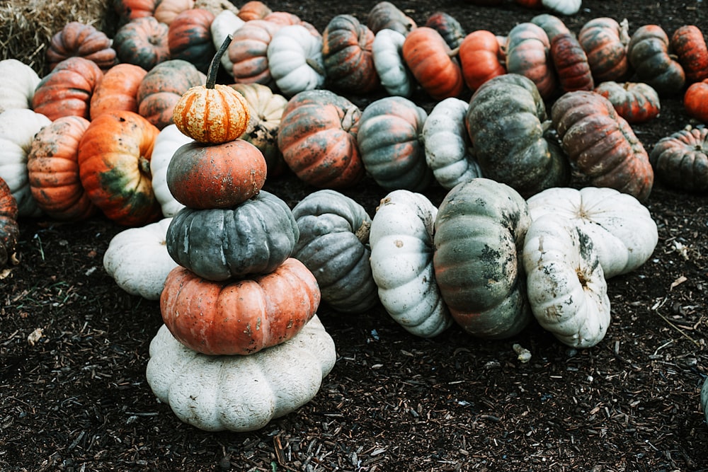 pile of pumpkins