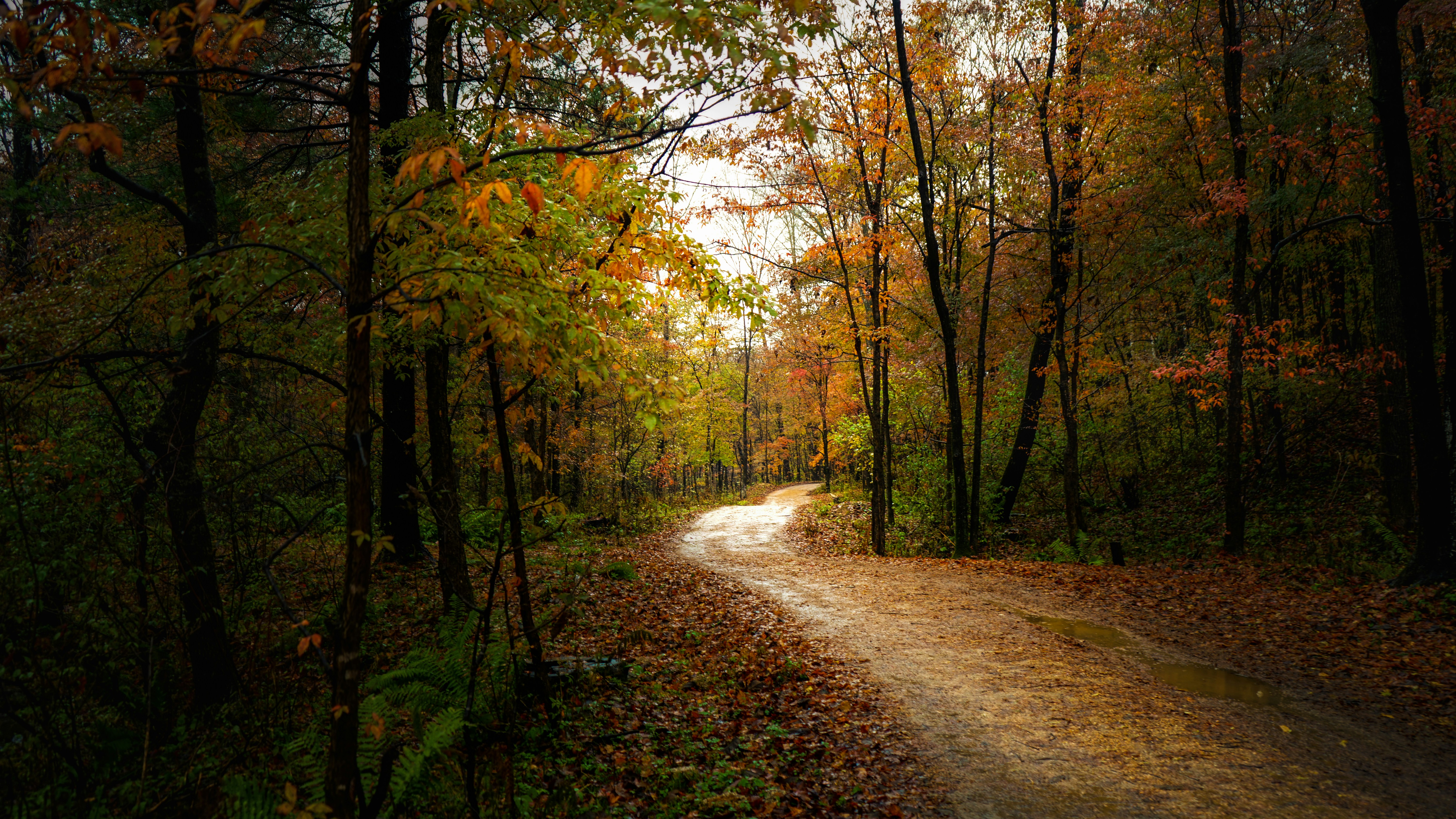 Photo by zhangweige46