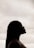 woman's face