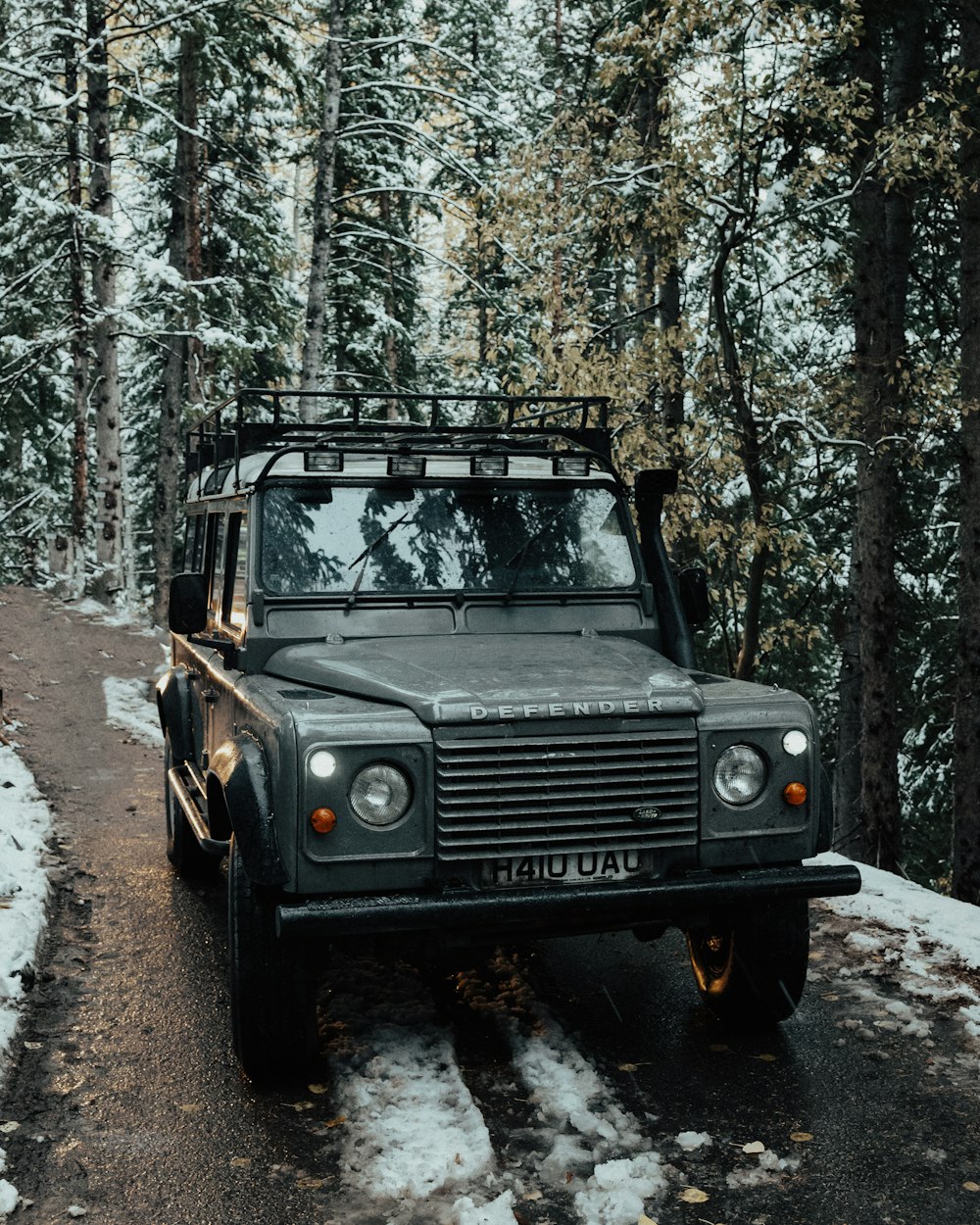 vehicle surround with trees