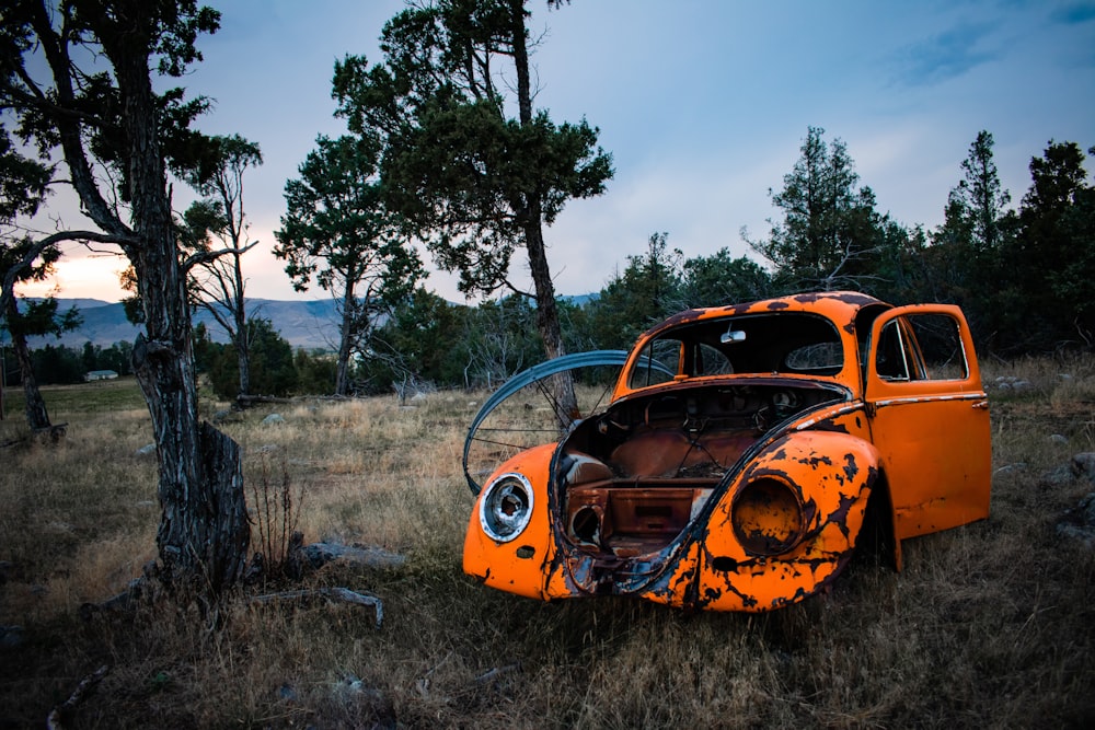 orange car beside tree