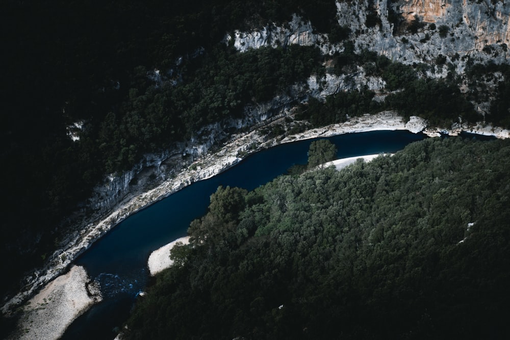 river surrounded by trees