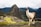 A llama stands prominently in the foreground with the ruins of Machu Picchu and steep mountains in the background under a cloudy sky. The ancient stone structures contrast with the lush green terraces.
