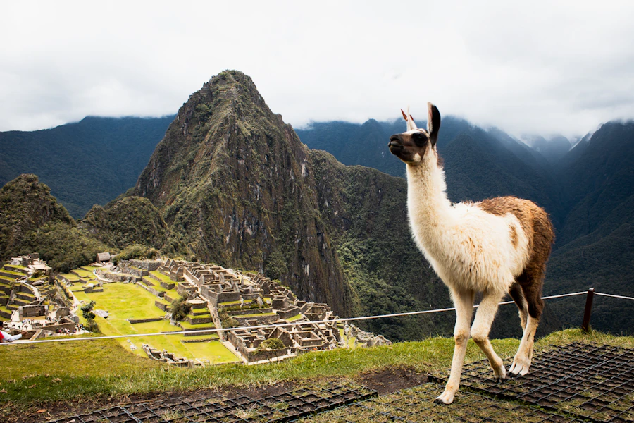 Machu Picchu e Trekking - 4 dias