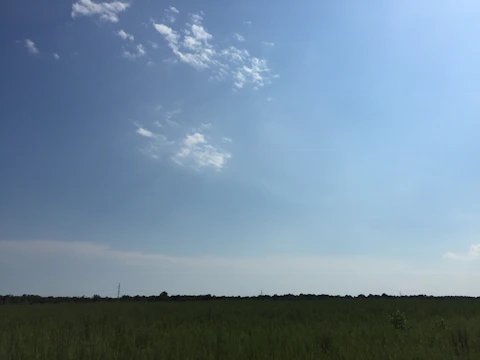 A wide view of a grassy, undeveloped plot under a clear blue sky.