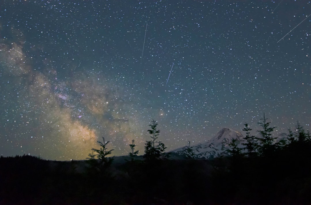 milky way at night