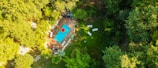 Aerial view of a custom concrete pool shaped to fit a unique garden layout with surrounding greenery.