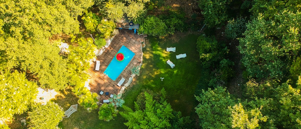 topview of pool surrounded by trees during daytime