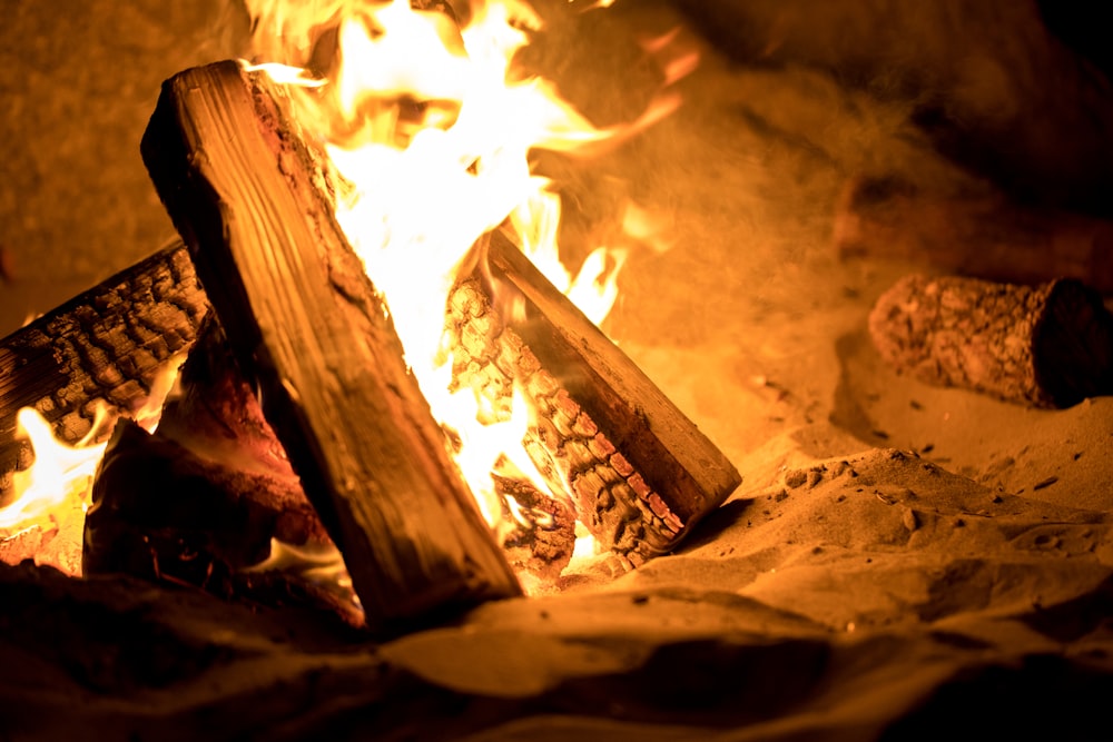 bonfire on sand