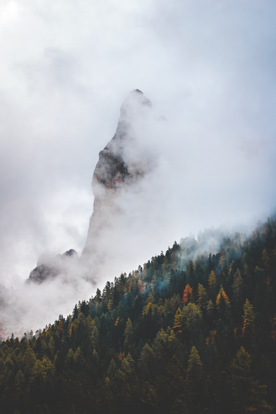 sea of clouds in Tiers Italy