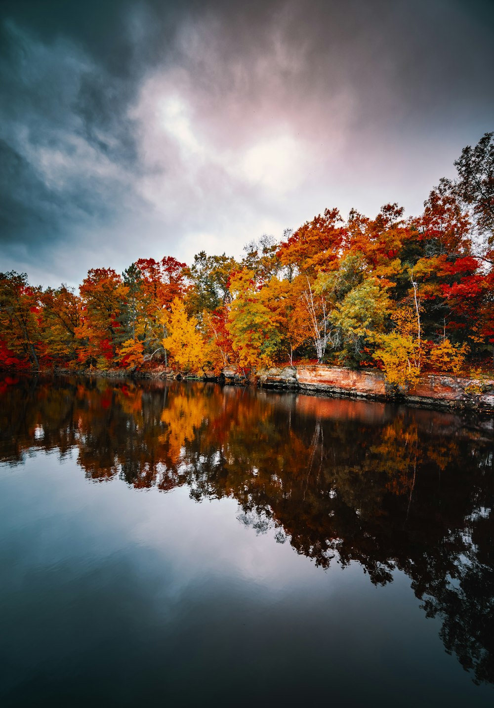 body of water surrounded by trees under gray sky