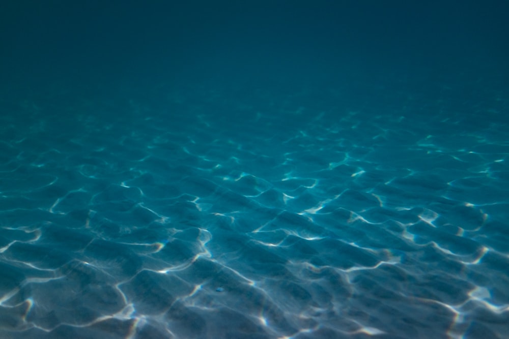 bleu sous l’eau