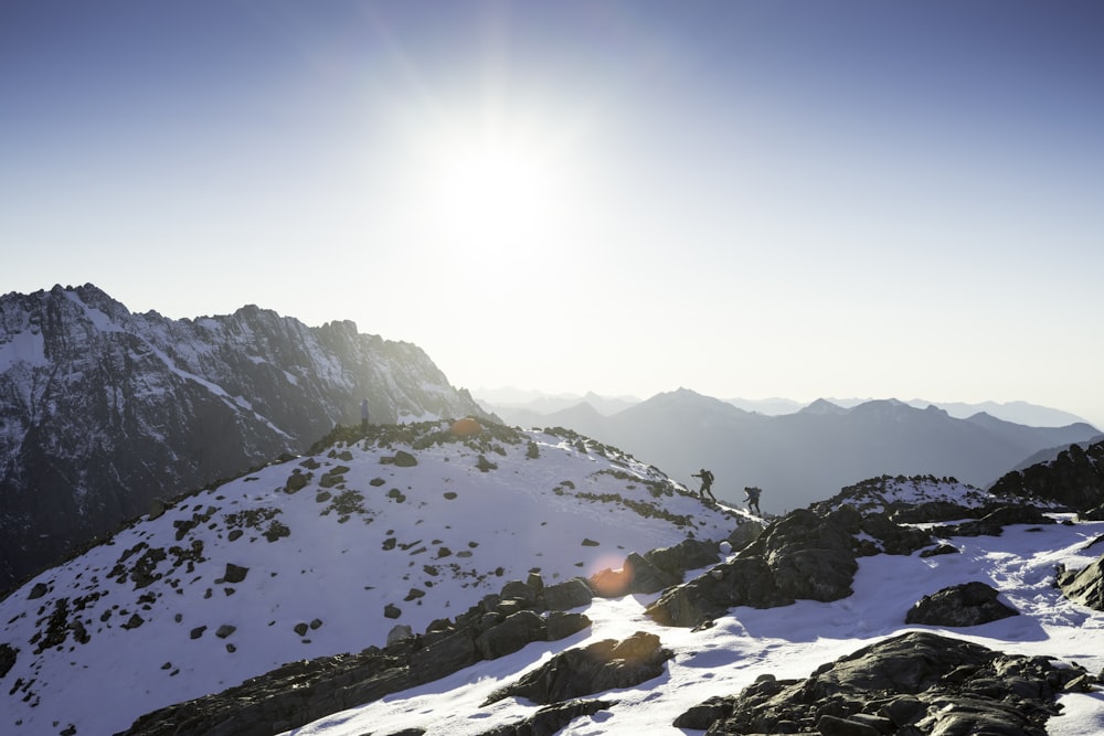 Tagsüber schneebedecktes Feld