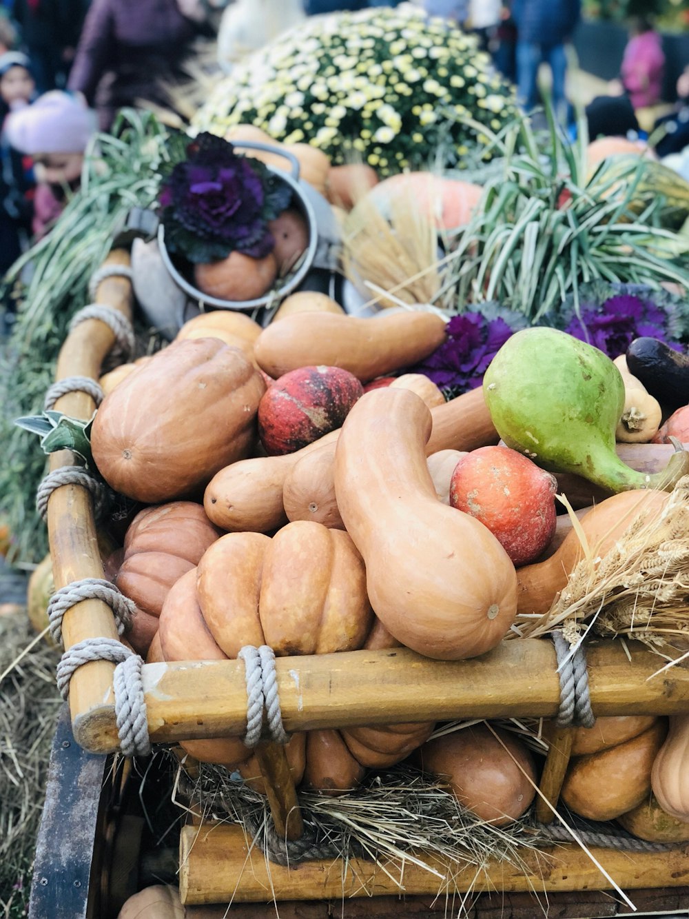 pumpkins near chayote and different vegetable inside wagon