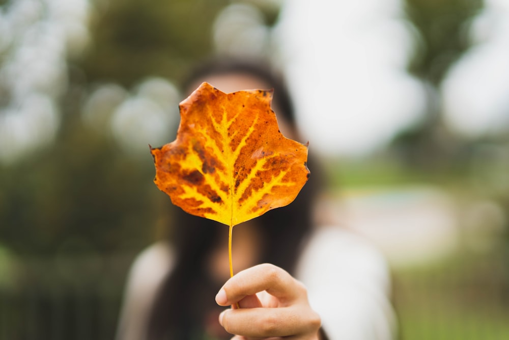 woman holding brown leaf