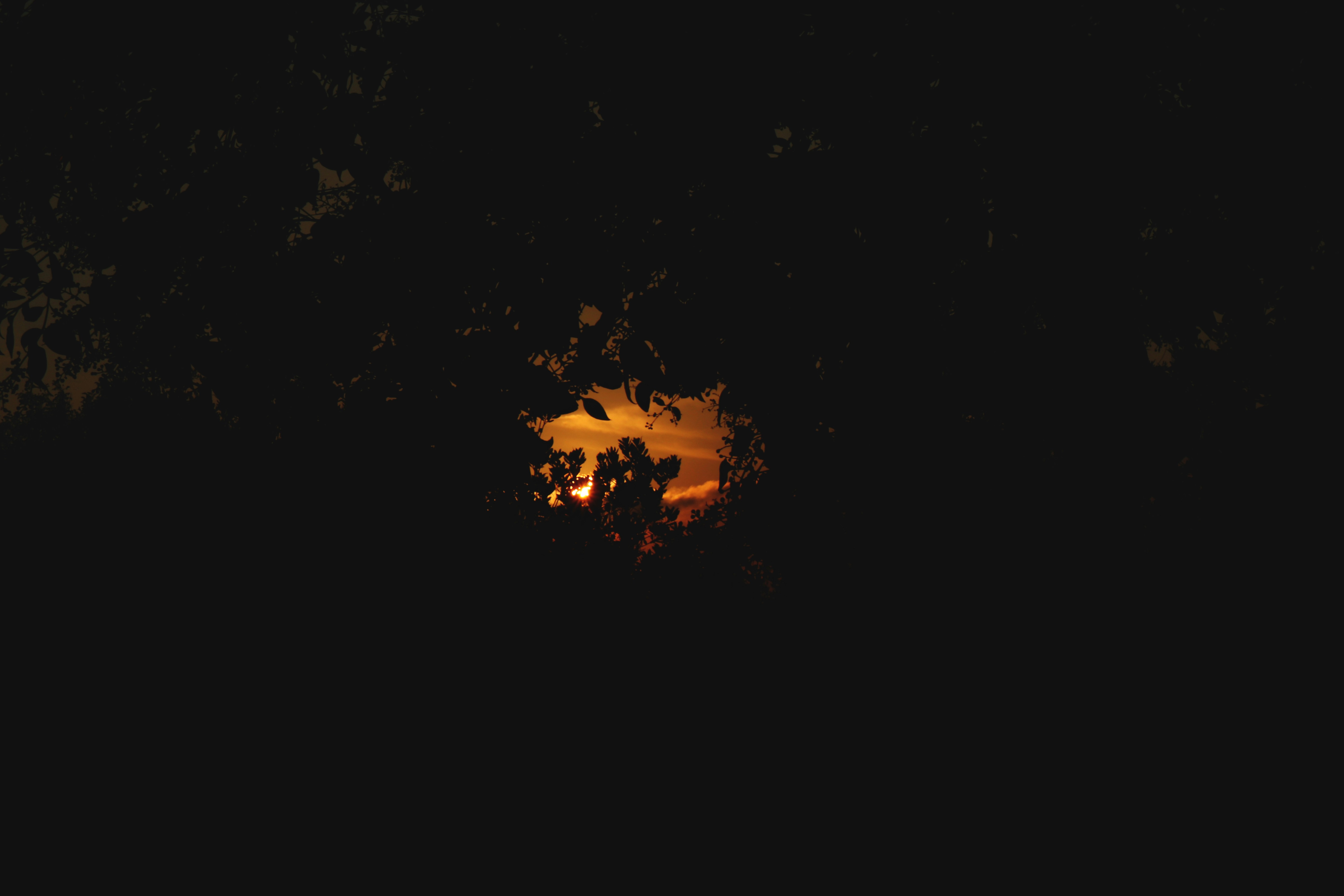 Photo by kisnouphotograph