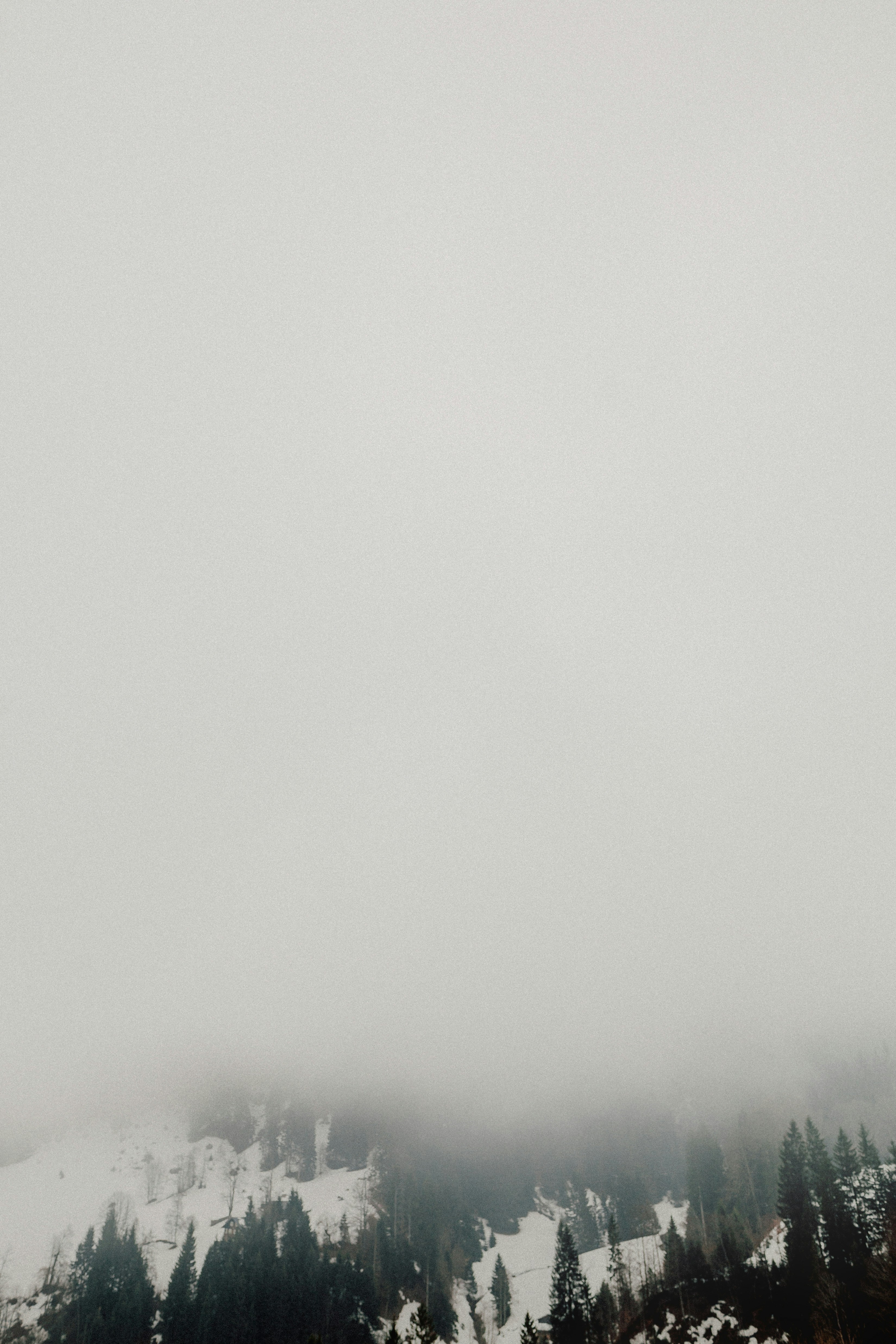 Photo by adrian_infernus