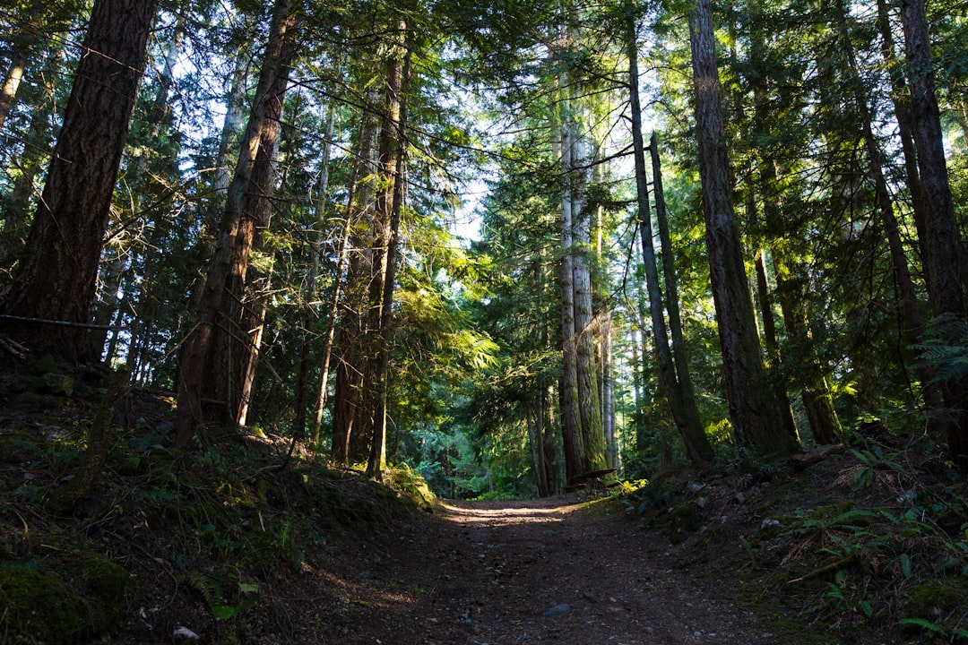 Forest photo spot Cedar Springs Ranch Mayne Island