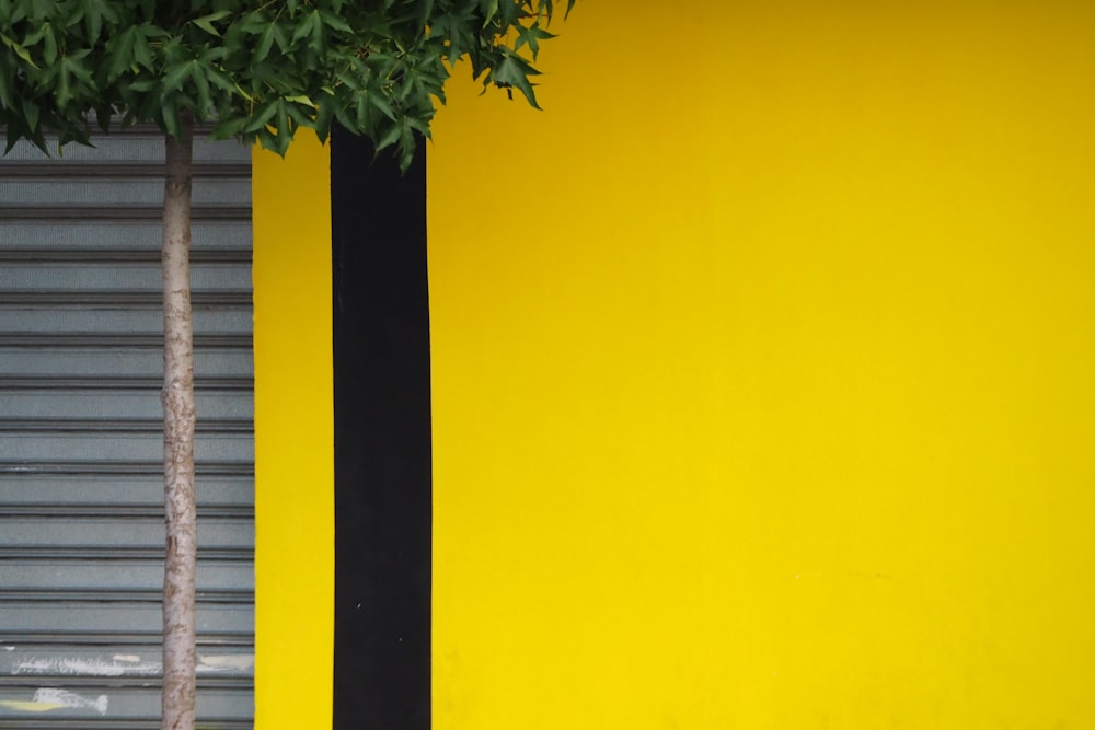 green tree beside yellow building