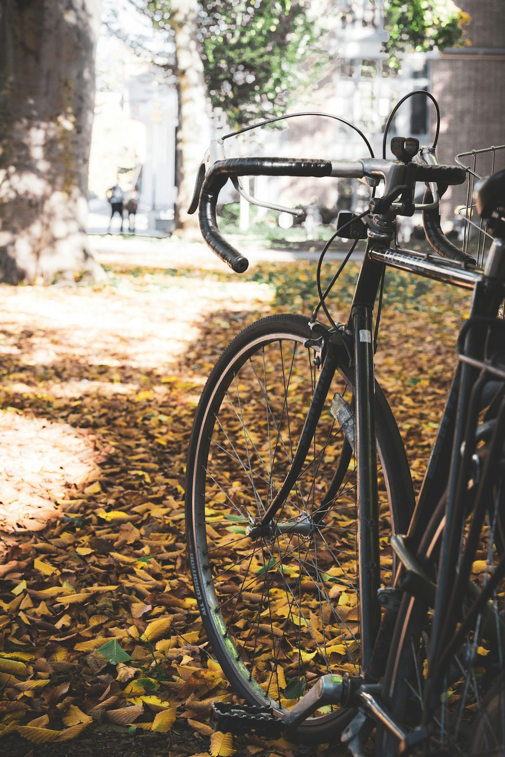 black road bike parked near tree