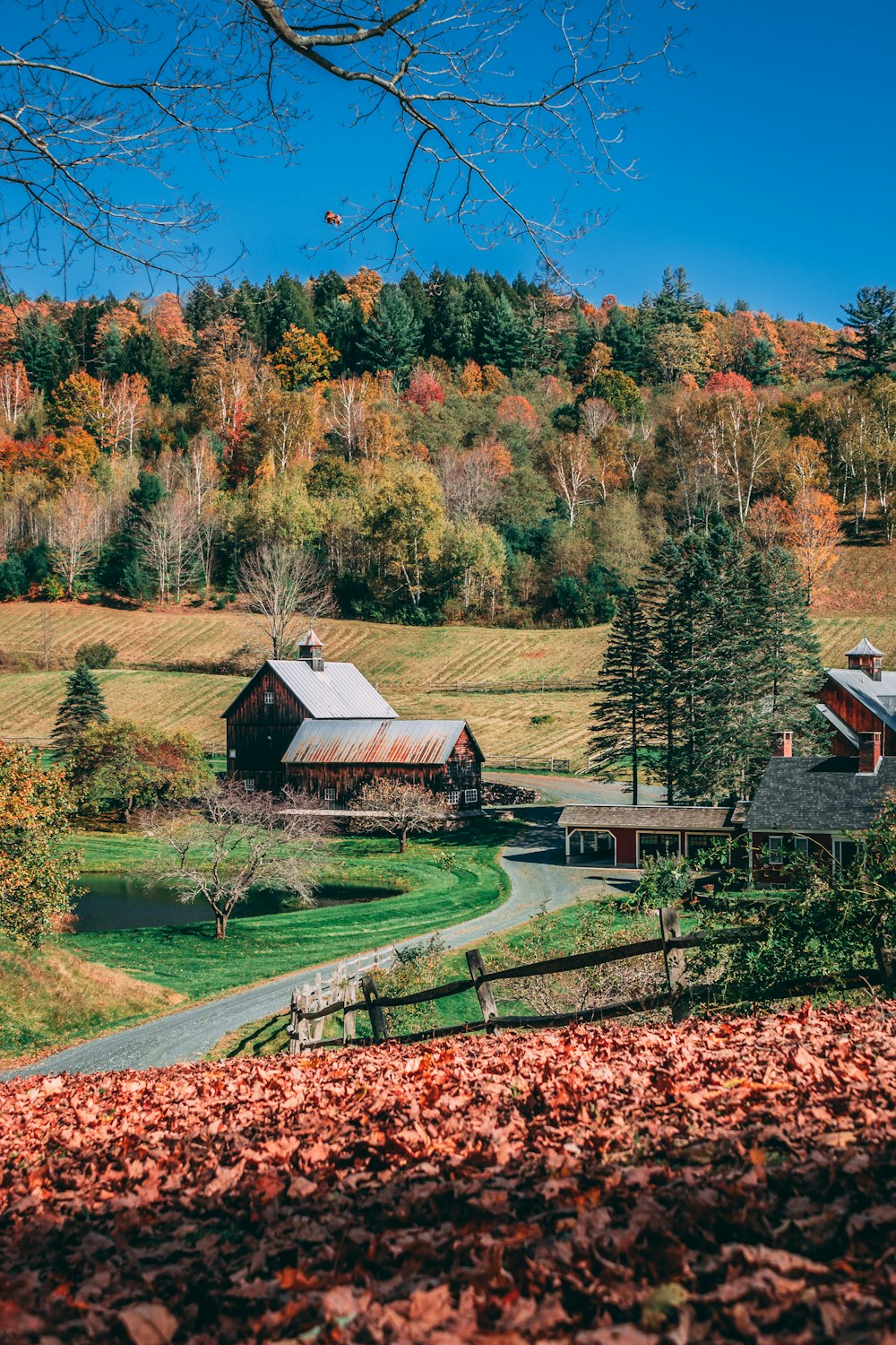 landscape photo of cabin near trees during daytime