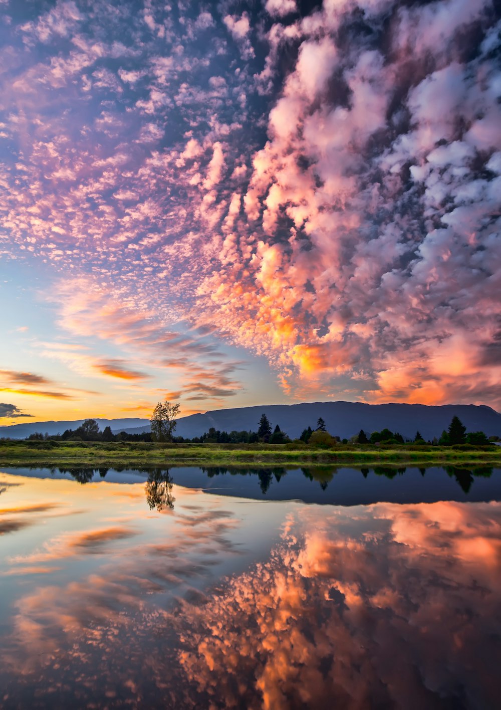 reflection of trees and clouds on water