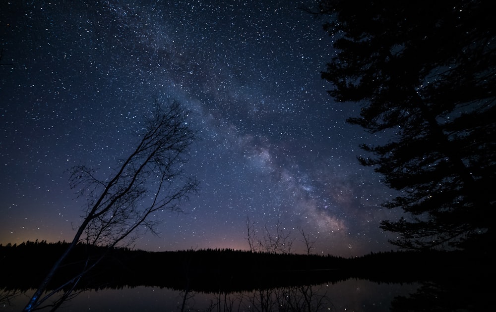 O céu noturno está cheio de estrelas acima de um lago