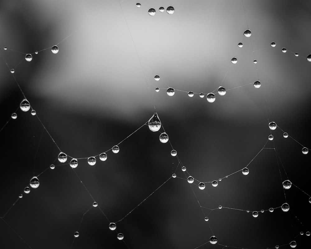 water drops