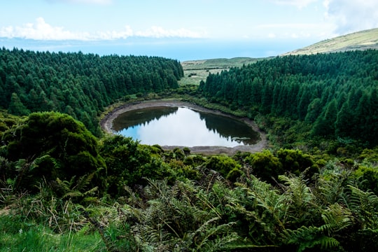 lake surrounded of trees in Pico Island Portugal