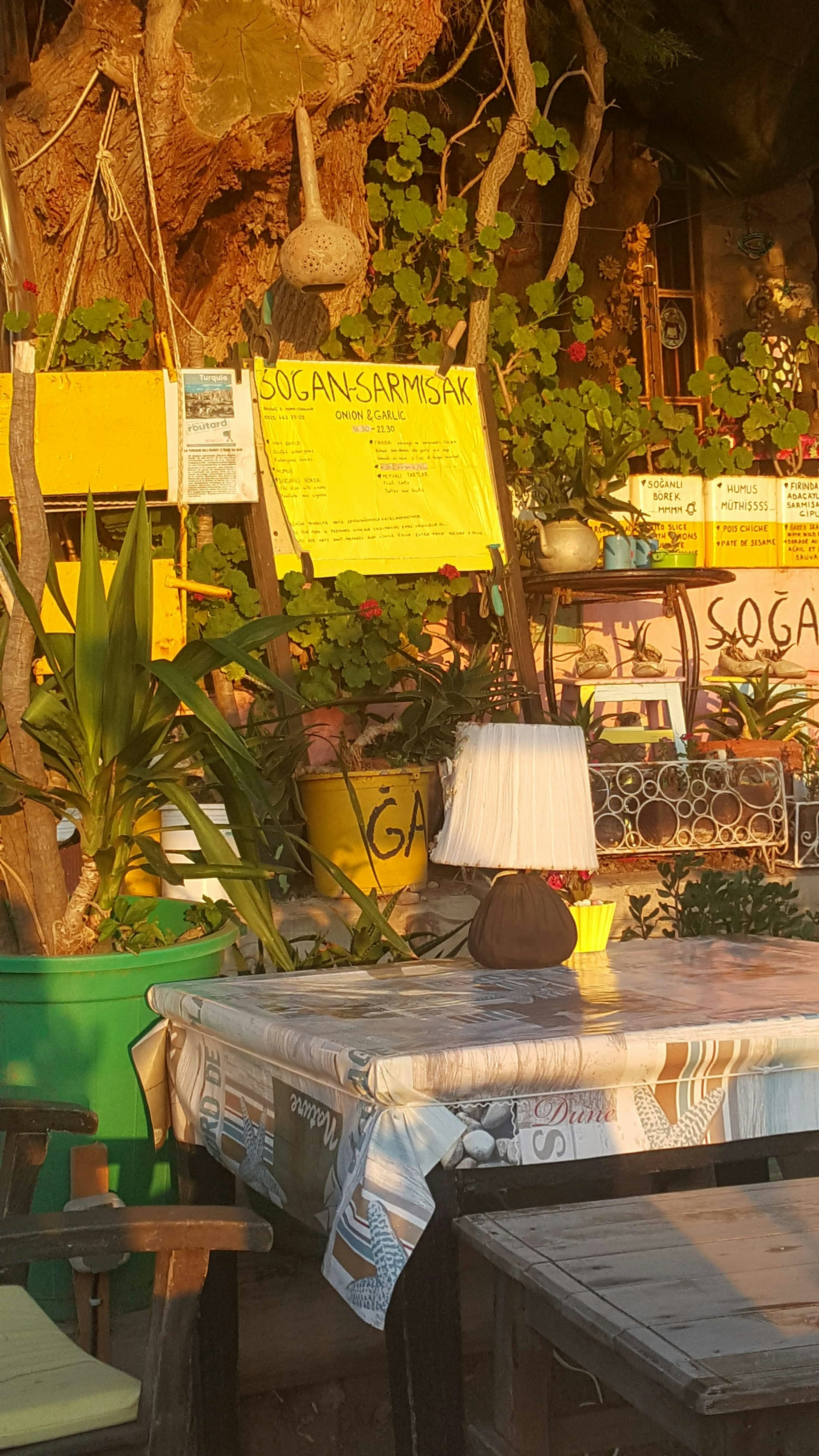 woman wearing yellow long-sleeved dress under white clouds and blue sky during daytime