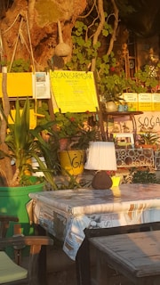 A rustic outdoor setting featuring a table covered with a patterned cloth and an old-fashioned lamp. The table is surrounded by wooden chairs. In the background, a tree with green foliage fills the area, and various signs with bright yellow backgrounds and handwritten text are displayed. Potted plants and a decorative array of circular objects in a wooden frame are also present.